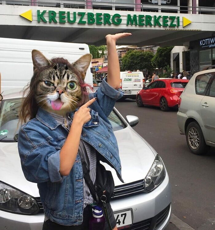 Турецкий художник создаёт неожиданные коллажи с кошками (23 фото)