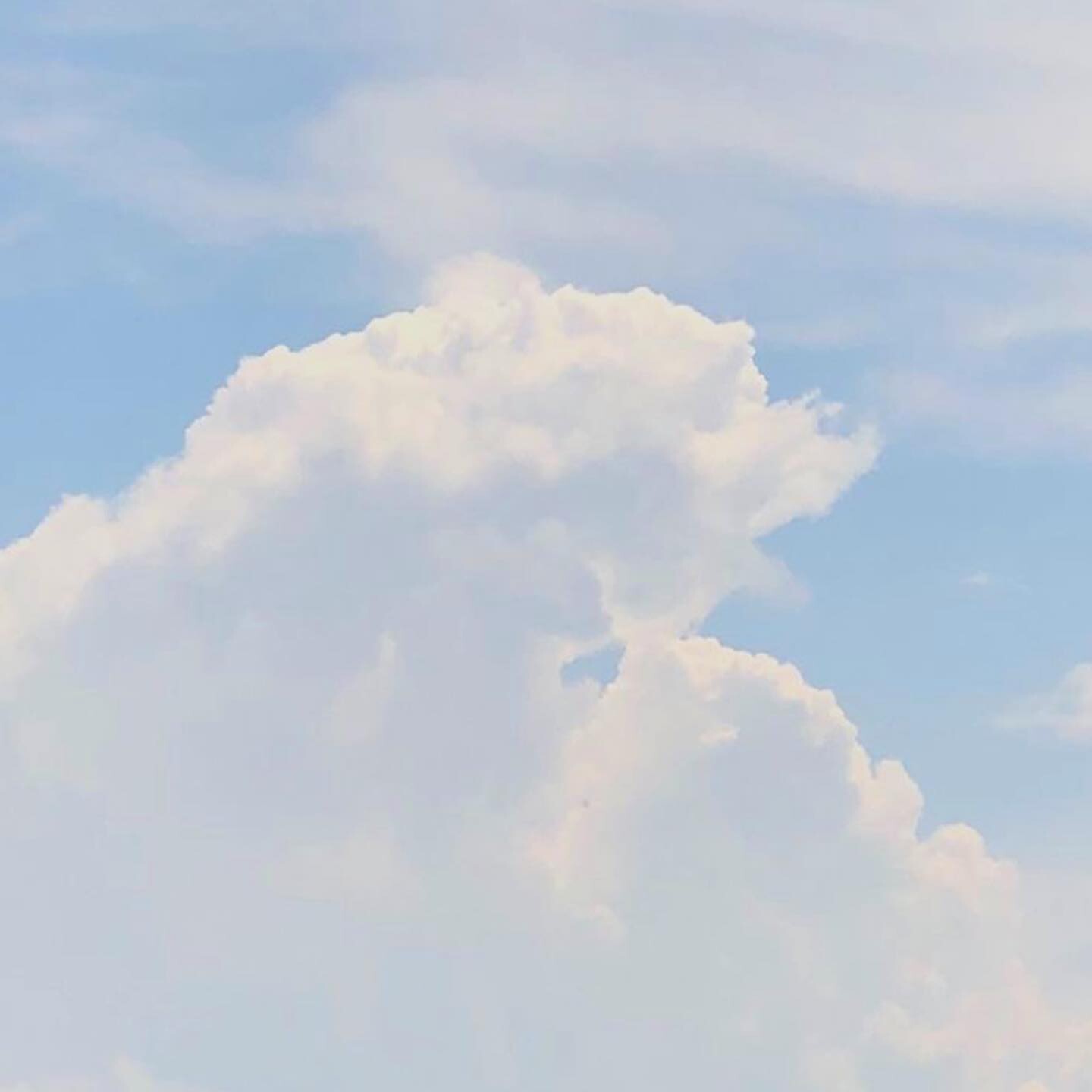 Облака — белогривые лошадки... и не только (28 фото)