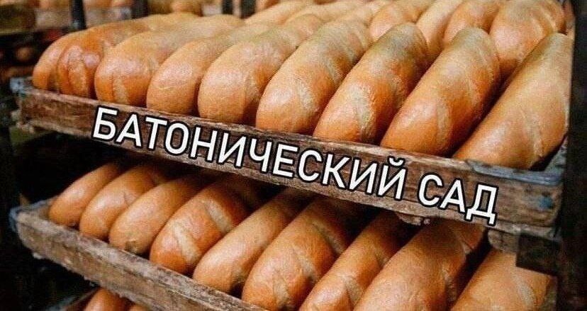 Коллекция мемов для пятничного настроения (23 шт)