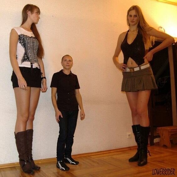 Высокие девушки. Очень высокие девушки (19 фото)