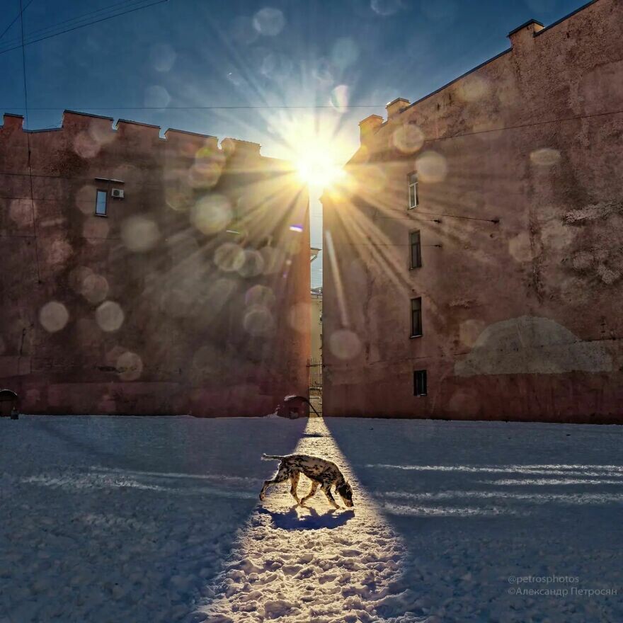 Питерская жизнь через объектив фотографа Александра Петросяна (35 фото)