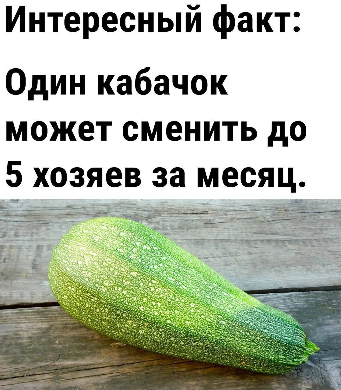 Свежий сборник прикольных мемов (16 фото)
