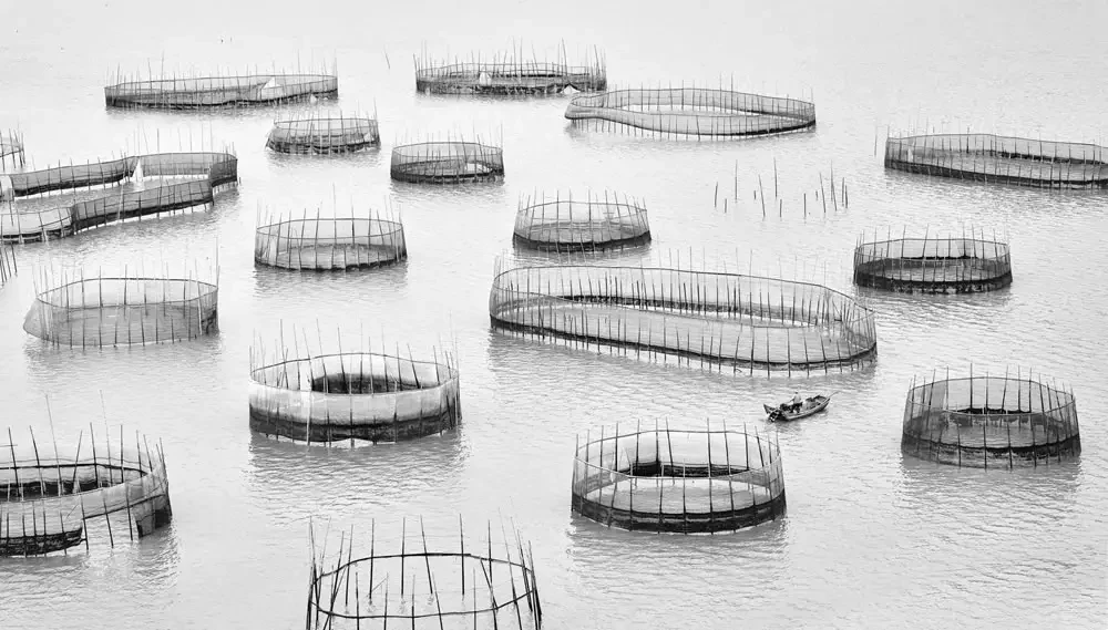 Захватывающие фотографии победителей конкурса 2023 Ocean Photographer Of The Year (26 фото)