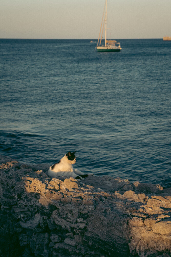 Греческий остров Родос через объектив фотографа Мачея Спенделя (20 фото)