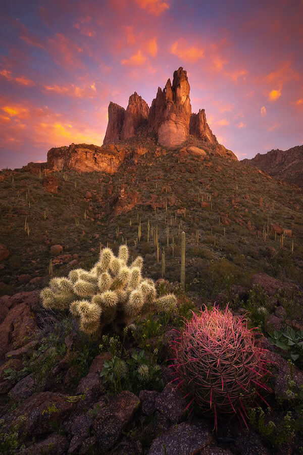 Потрясающие фотографии-победители конкурса Nature&#039;s Best Photography International Awards 2023 (25 фото)