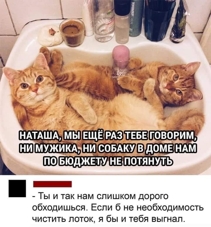 Большая подборка фото-приколов на различные темы (60 шт)