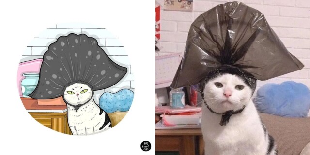 Забавные иллюстрации, перерисованные с популярных фотографий с кошками (26 фото)