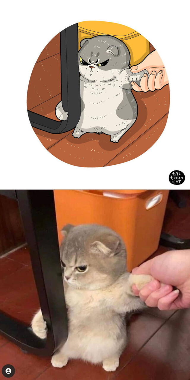 Курйозні ілюстрації, перемальовані з популярних фотографій із кішками