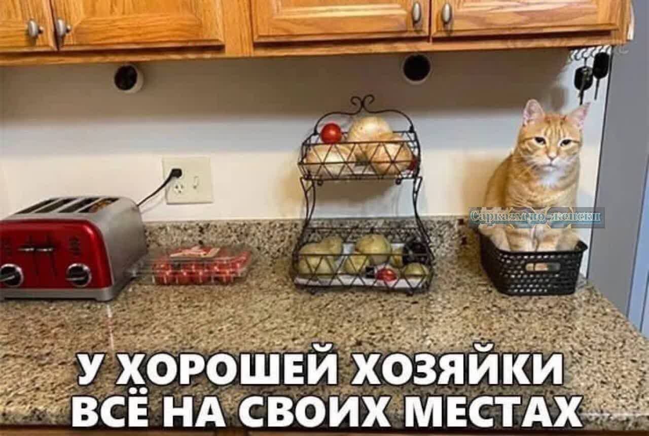 Свежий сборник прикольных мемов (27 фото)