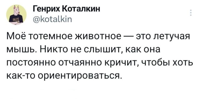 Смешные твиты: «Я не хочу умирать под Киркорова»