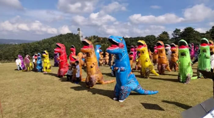 В Японии пользуются широкой популярностью "гонки тираннозавров"