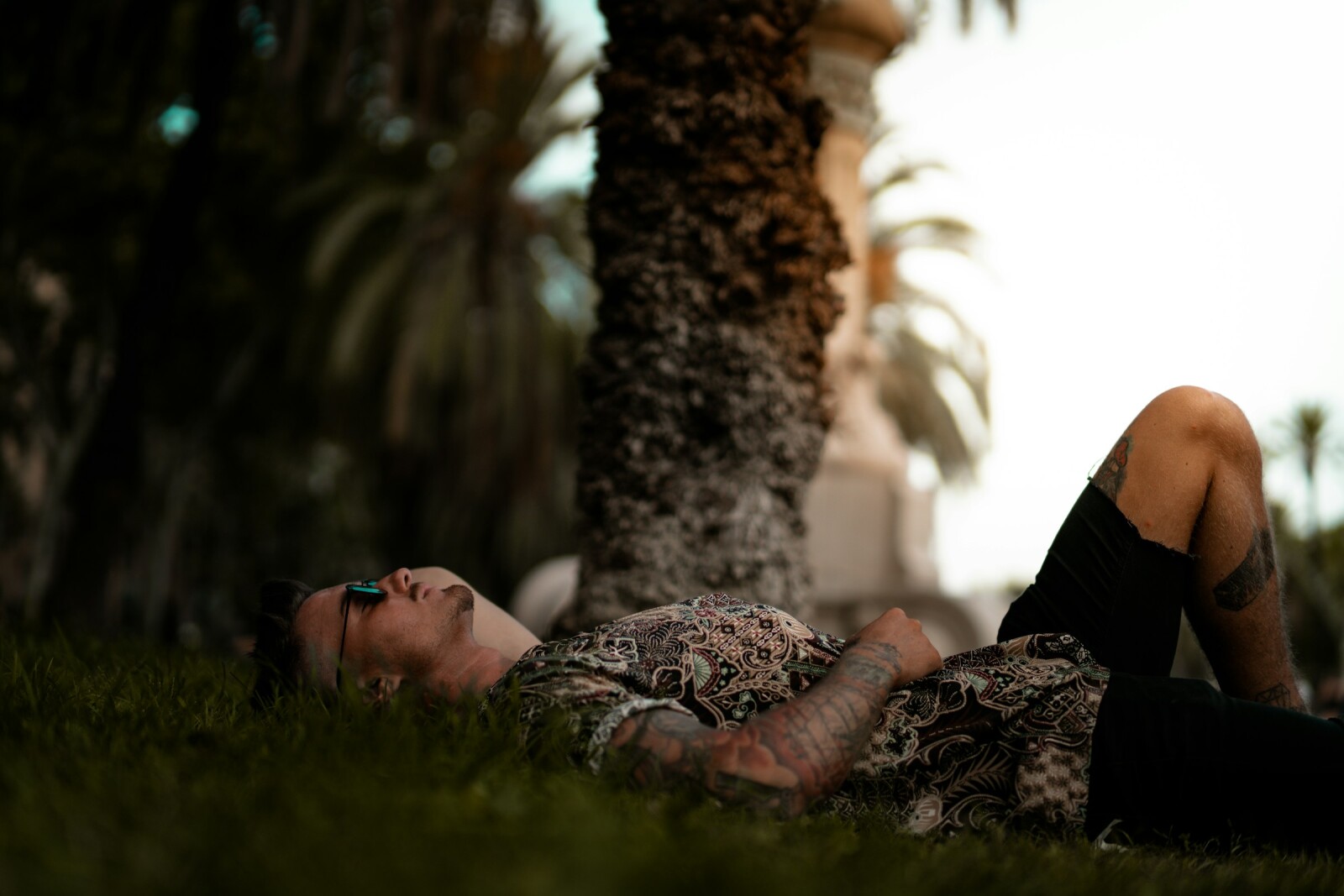 мужчина спит под пальмой