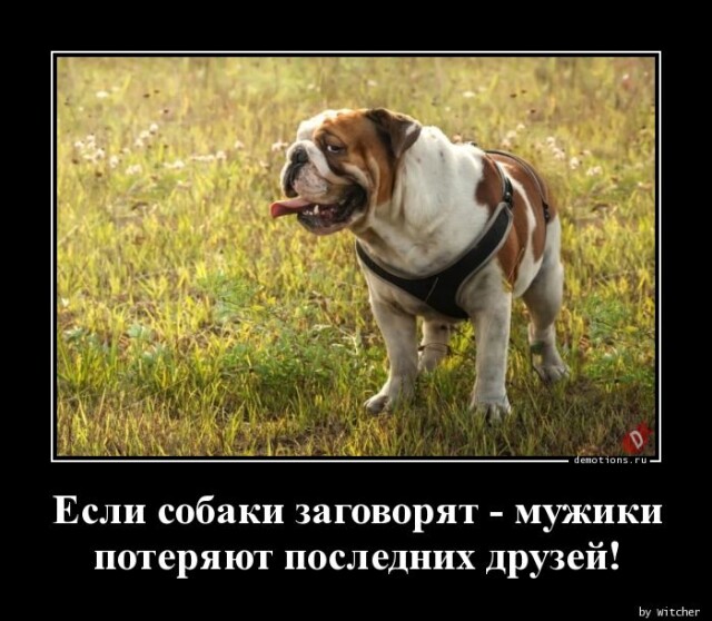 Демотиваторы-приколы: "Если собаки заговорят…" (14 фото)