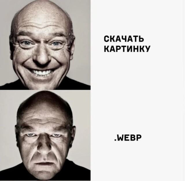 Свежий сборник мемов: «Школьные учителя были правы…»