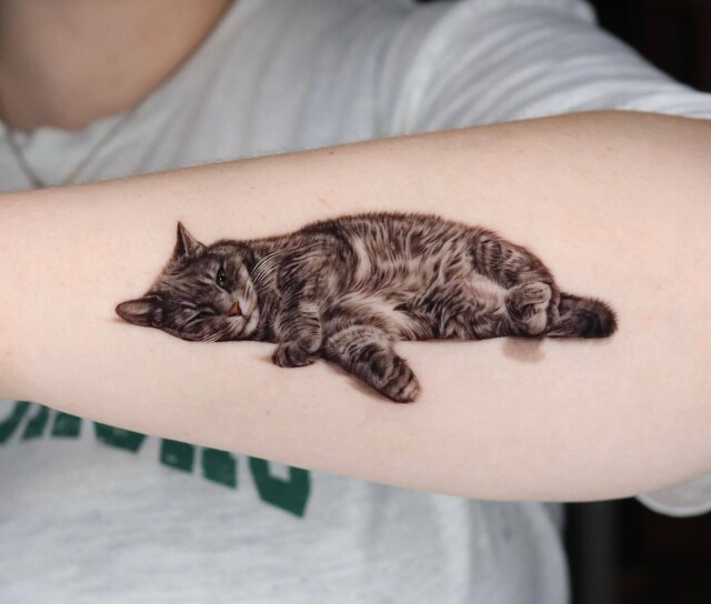 Татуировки домашних животных, которые выглядят как настоящие (22 фото)