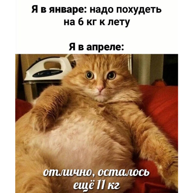 Прикольные мемы про похудение, карты Татаро, экстрим и другое (20 фото)