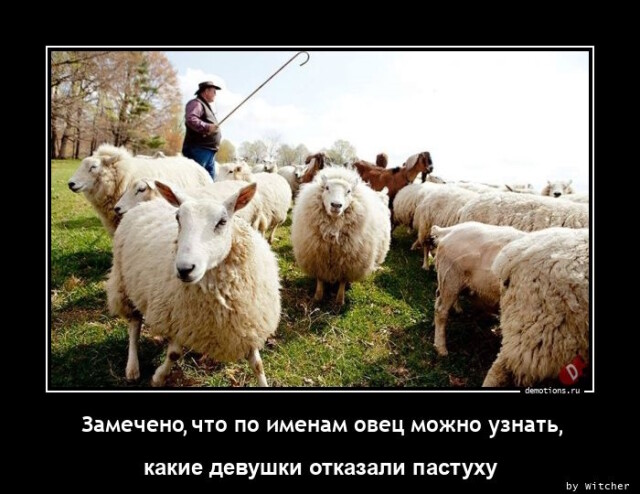 Демотиваторы дня: "Замечено, что по именам овец…" (14 фото)