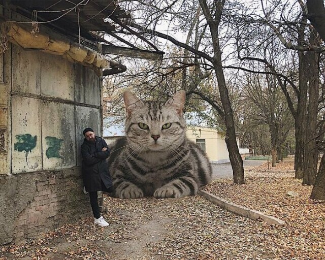 Когда тебя преследуют огромные коты