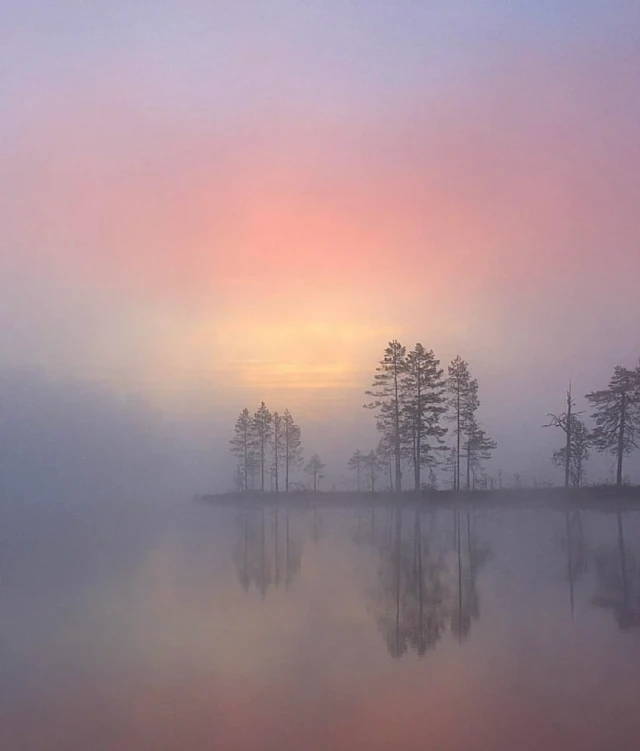 Фотографии, которые случайно оказались произведениями искусства