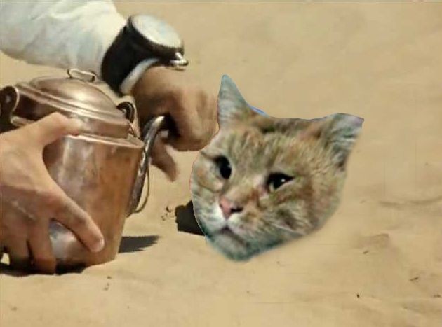 Застрявший в вентиляции кот из Уфы стал героем мемов