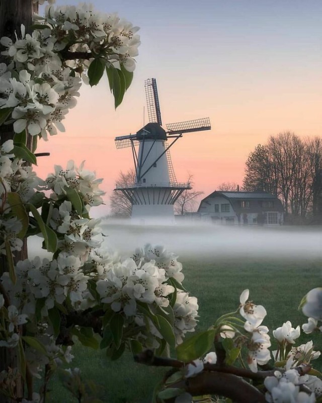 Путешествие в Нидерланды: фотографии, демонстрирующие красоту этой страны