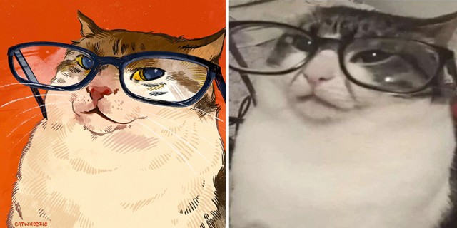 Художница превращает смешные фотографии кошек в яркие иллюстрации. Они становятся ещё смешнее (28 фото)