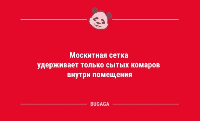 Анекдоты для пятничного настроения: "Москитная сетка…" (10 фото)