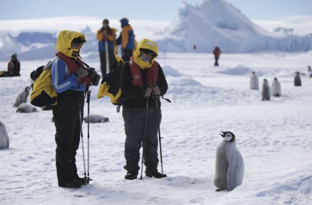 Морозные фотографии Антарктиды, идеальные для просмотра жарким летним днём (25 фото)