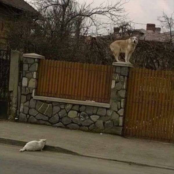 Прикольные картинки в начале недели