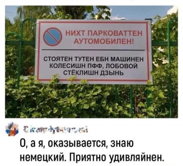 Прикольные картинки для всех