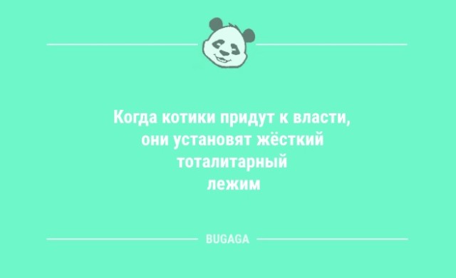 Анекдоты посмеяться: «Когда котики придут к власти…» (9 фото)