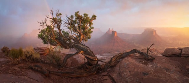 Впечатляющие пейзажи и природа в фотографиях победителей конкурса Epson Panorama Photo Awards 2024 года