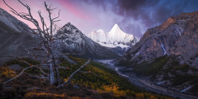 Впечатляющие пейзажи и природа в фотографиях победителей конкурса Epson Panorama Photo Awards 2024 года