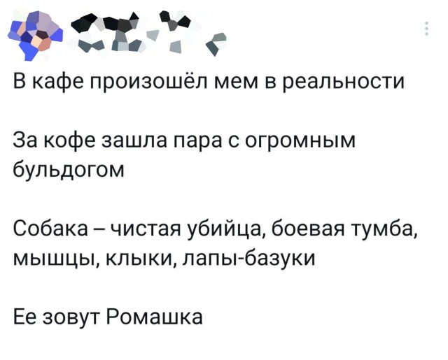 Прикольные картинки для настроения: «Ваше следующее задание…»