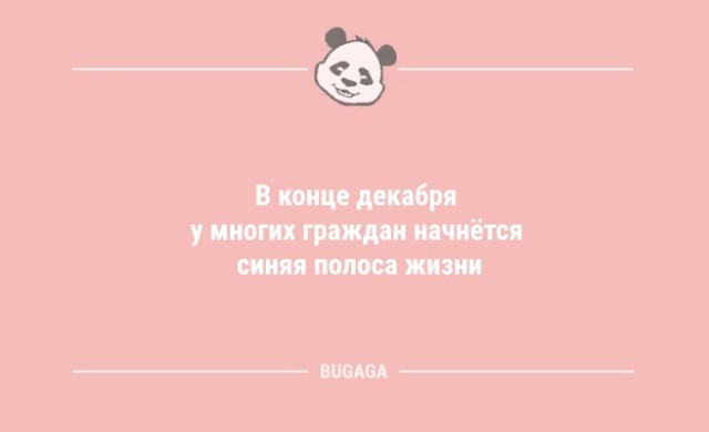 Анекдоты для хорошего настроения: «В конце декабря…» (11 шт)