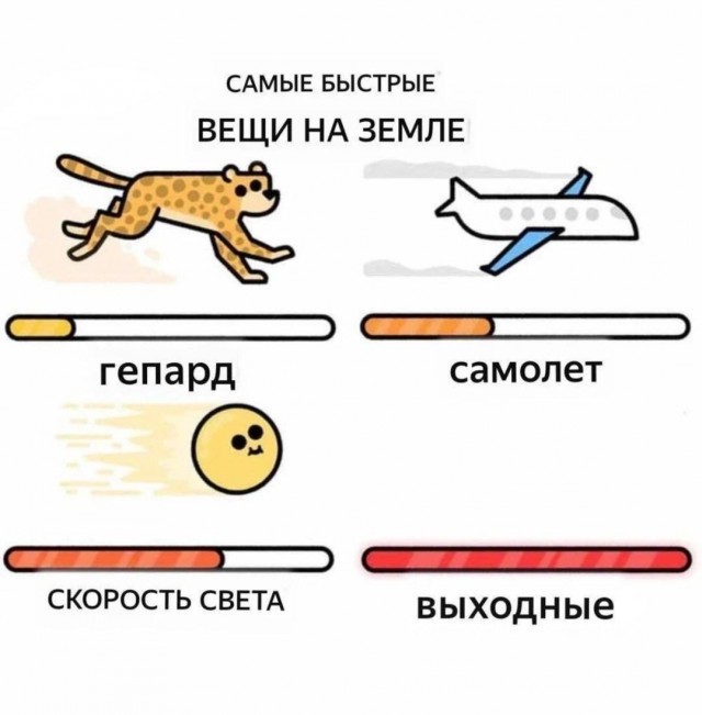 Прикольные картинки в понедельник: «Есть ли у тебя хобби?»