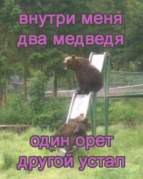 Новая порция мемов