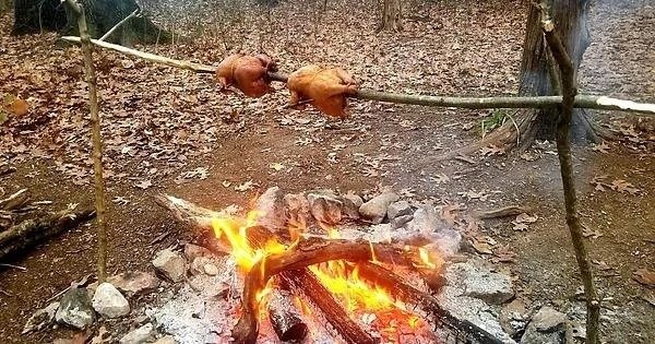 Сейчас бы в лес, на природу, а не вот это вот всё