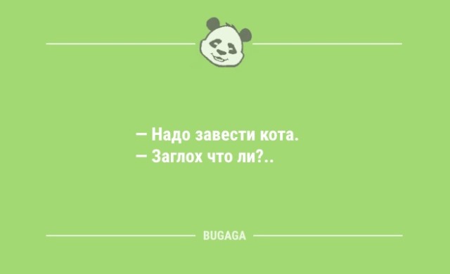 Анекдоты для всех: «Надо завести кота…» (8 шт)