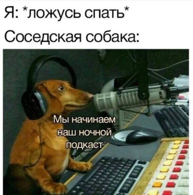 Свежие и прикольные мемы