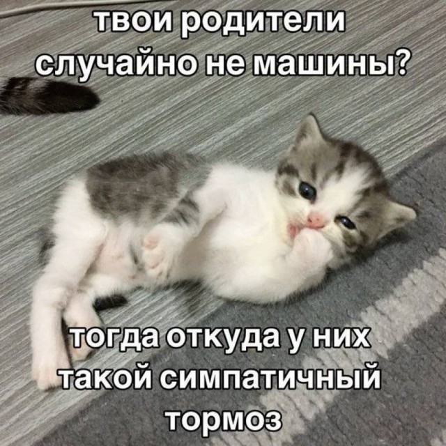 Свежие и прикольные мемы