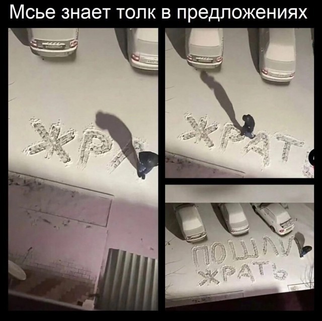 Пятничные фотоприколы для всех