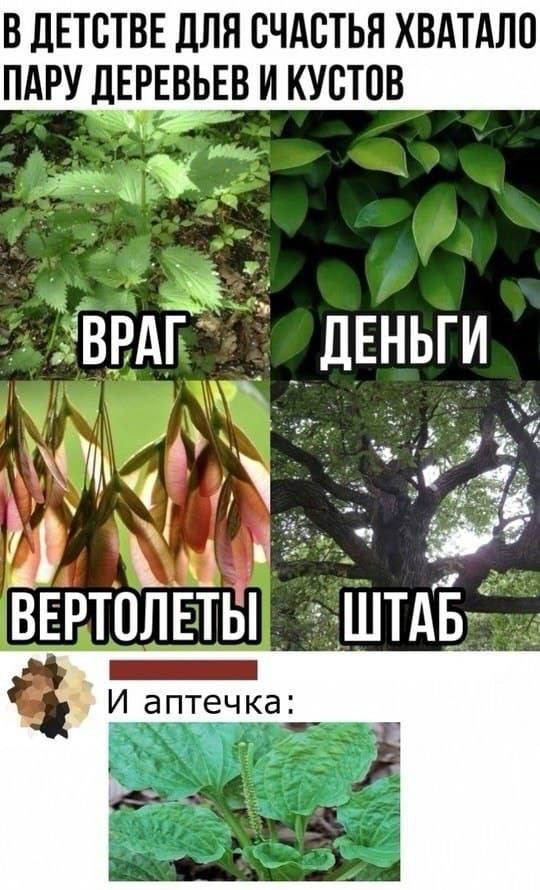 Весёлые картинки для хорошего настроения