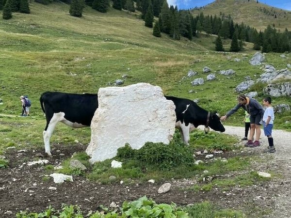 26 снимков, запечатлевших идеальный момент