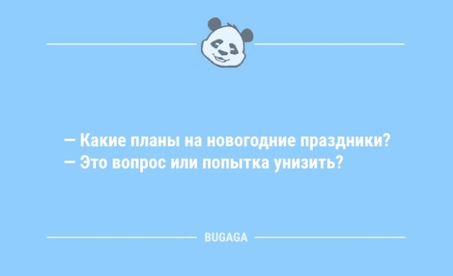 Анекдоты нового года: «Какие планы на новогодние праздники?» (7 фото)