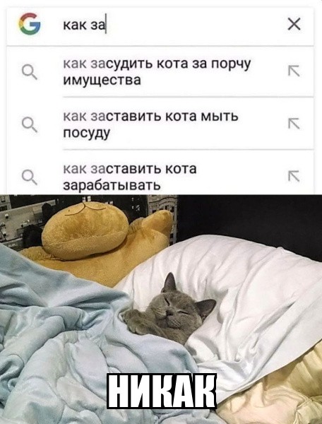 Прикольные картинки на любой вкус: «Погода брянь…»