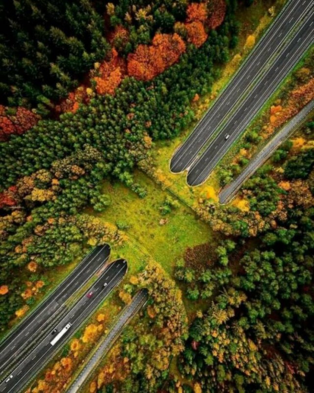 Впечатляющие фотографии, которые мы не могли вам не показать