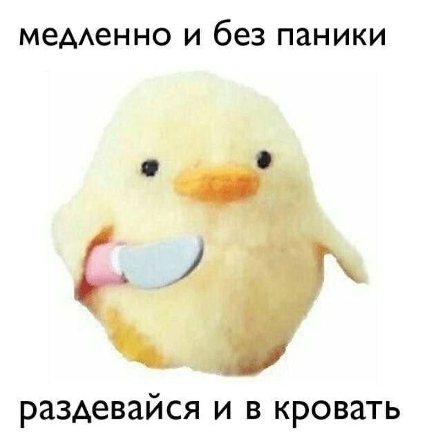 Пятничная коллекция фотоприколов: «Это я на «Озоне» в отзывах…» (37 фото)