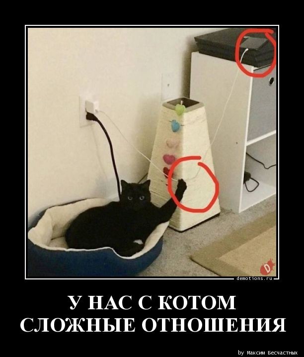 Демотиваторы дня: «Суровый Краснодар» (22 фото)
