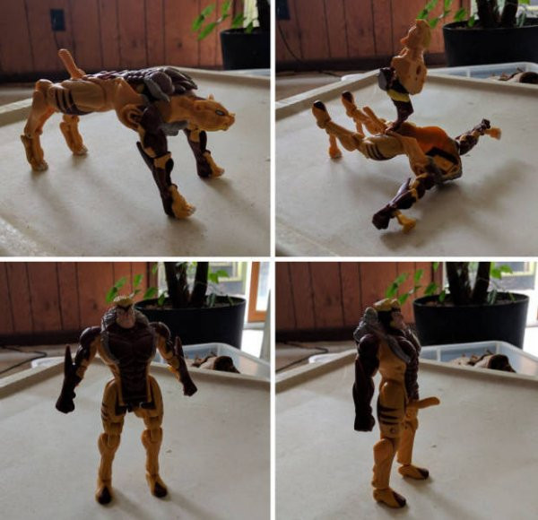 Дизайнерские ляпы и маразмы (19 фото)